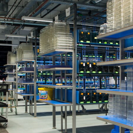 Custom designed zebrafish facilities