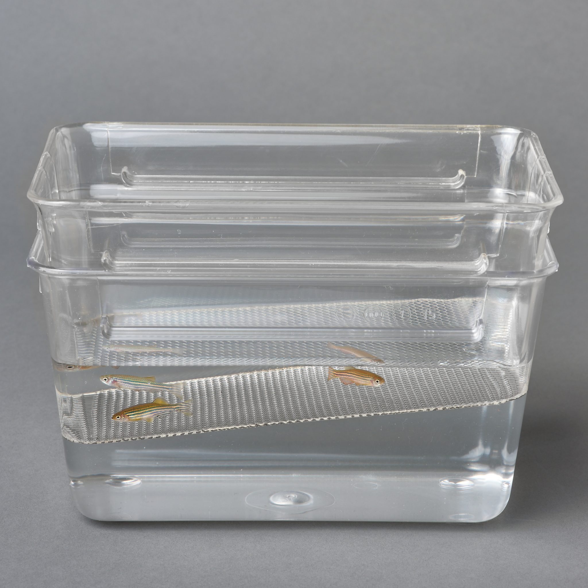 Breeding tank set MC1 ZEBCARE